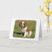 Carte Cavalier King Charles Spaniel (Fleur jaune)