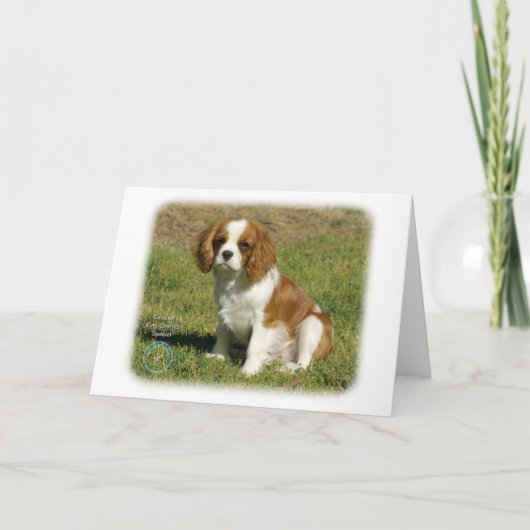 Carte Cavalier King Charles Spaniel (Devant)