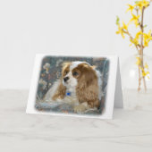 Carte Cavalier King Charles Spaniel 8R16D-01 (Fleur jaune)