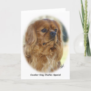 Carte Cavalier King Charles Spaniel 9K27D-17