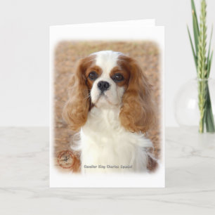 Carte Cavalier King Charles Spaniel 9L005D-08