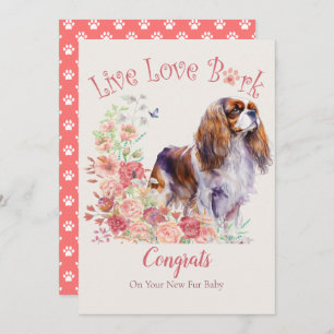 Carte Cavalier King Charles Spaniel Chien Maman Adoption