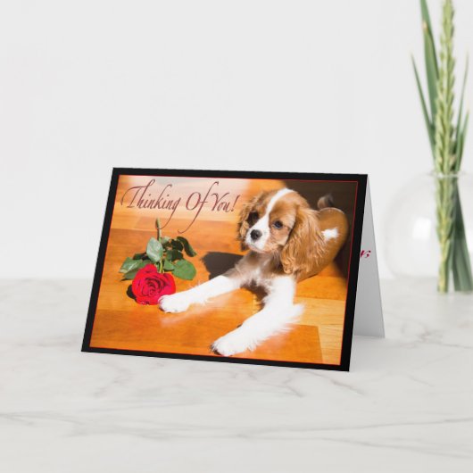Carte Cavalier King Charles Spaniel chiot qui me manque (Devant)