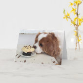 Carte Cavalier King Charles Spaniel Cupcake du vendredi (Fleur jaune)