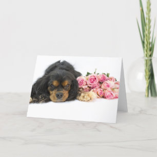 Carte Cavalier King Charles Spaniel Et Rose