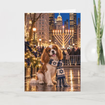 Cavalier King Charles Spaniel Hanoucca NYC
