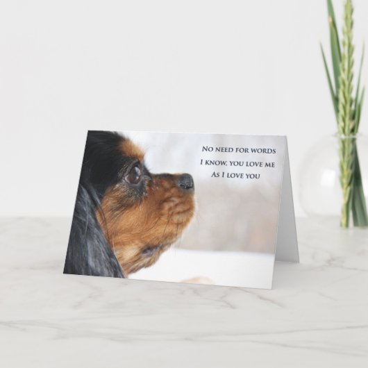 Carte Cavalier King Charles Spaniel Je T'Aime (Devant)