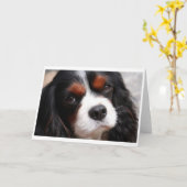 Carte Cavalier King Charles Spaniel Maman (Fleur jaune)