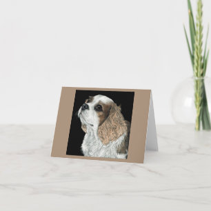 Carte Cavalier King Charles Spaniel - Max