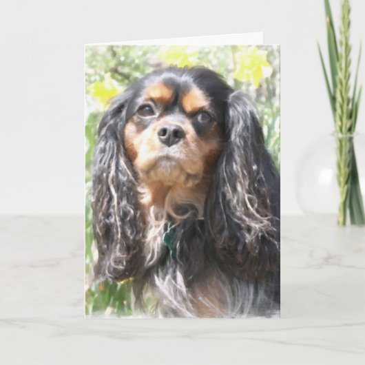 Carte Cavalier King Charles Spaniel peint (Devant)