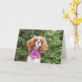 Carte Cavalier King Charles Spaniel Puppy 4 juillet (Fleur jaune)
