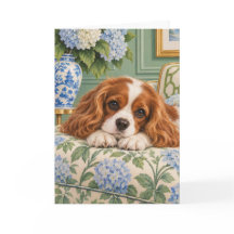 Cavalier King Charles Spaniel Salutation