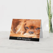 Carte Cavalier King Charles Spaniel sympathie (Devant)