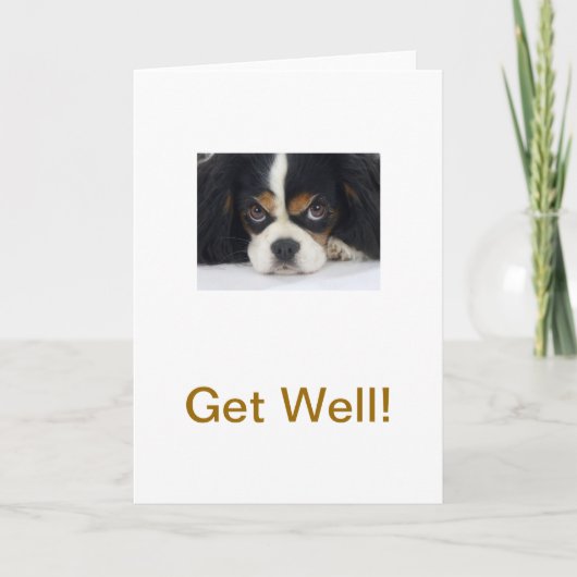 Carte Cavalier King Charles Spaniel Tri Obtenir une cart (Devant)