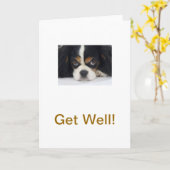 Carte Cavalier King Charles Spaniel Tri Obtenir une cart (Fleur jaune)