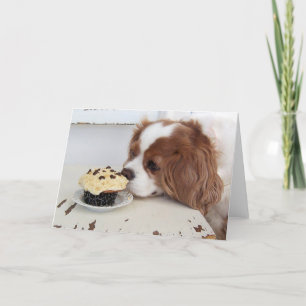 Carte Cavalier King Charles Spaniel Vendredi Cupcake
