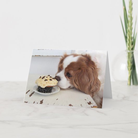 Carte Cavalier King Charles Spaniel Vendredi Cupcake (Devant)