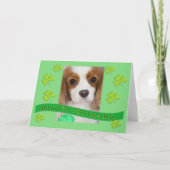 Carte Cavalier King Charles Spaniels Saint-Patrick (Devant)
