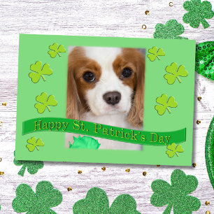 Carte Cavalier King Charles Spaniels Saint-Patrick