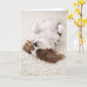 Carte Cavalier montrant le ventre (Fleur jaune)