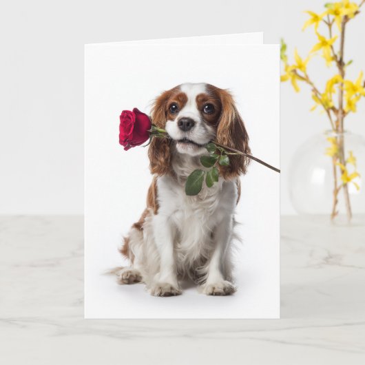 Carte Cavalier Spaniel Saint-Valentin (Fleur jaune)
