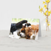 Carte Cavaliers de frères (Fleur jaune)