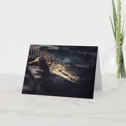 Carte Cayman crocodile notecard (Devant)