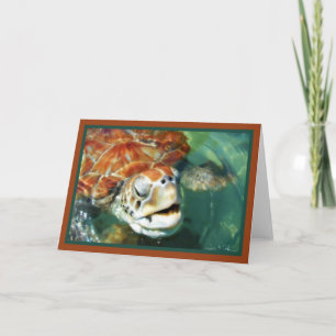 Carte Cayman Turtle