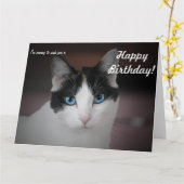 Carte Ce Chat vous souhaite un joyeux anniversaire ! Car (Fleur jaune)