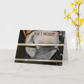 CARTE CE CHEVAL EST "PAS NOSY" JEUX ANNIVERSAIRE POUR VO (Fleur jaune)