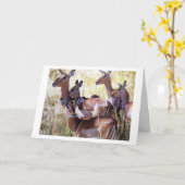 CARTE CE GROUPE DE DEER VOUS ENVOYE DES DÉSIRS D'ANNIVER (Fleur jaune)