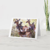 CARTE CE GROUPE DE DEER VOUS ENVOYE DES DÉSIRS D'ANNIVER (Devant)