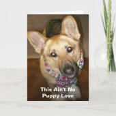 Carte Ce n'est pas pas un amour chiot, un joyeux anniver (Devant)