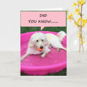 CARTE CE PETIT BAIN DÉCLARE SON AMOUR POUR VOUS (Fleur jaune)