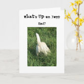 Carte Ce qui est (Fleur jaune)