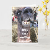 CARTE CE SONT DES DENTS ! ! JOYEUX ANNIVERSAIRE (Fleur jaune)