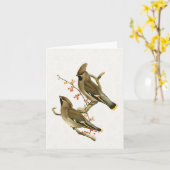 Carte Cèdre cire Oiseau vacances Nature Flocon de neige (Fleur jaune)