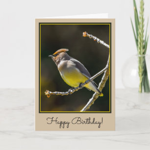 Carte Cèdre cire Songbird Photo originale Oiseau sauvage