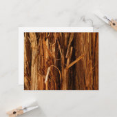 Carte Cèdre texturé en écorce de bois (Devant/Arrière en situation)