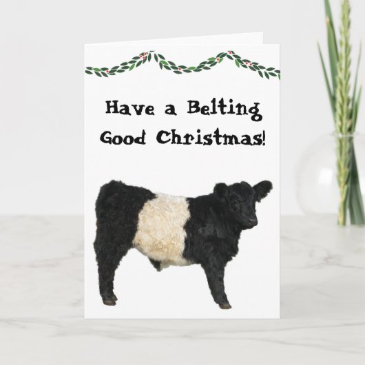 Carte Ceinture Bon Noël Ceinturé Galloway Beltie Cow (Devant)