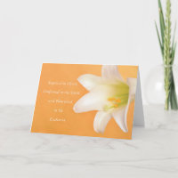 Célébration de la communion de baptême RCIA