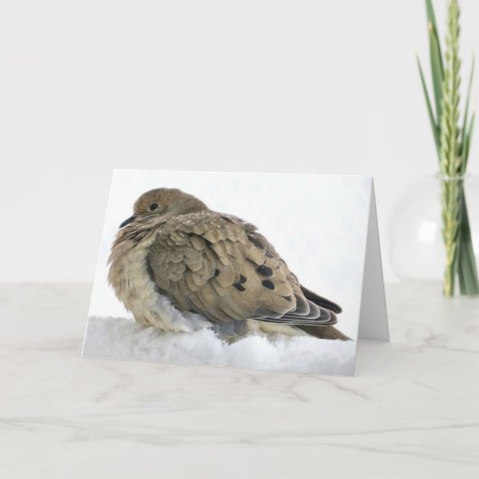 Carte Célébrez le Christ avec Noël Paix & Bénédictions (Devant)