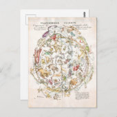 Carte céleste vintage (Devant / Derrière)