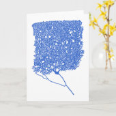 Carte Cellule Purkinje (Fleur jaune)