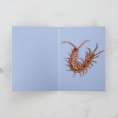 Carte Centipede  (Intérieur)