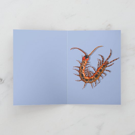 Carte Centipede  (Intérieur)