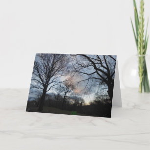 Carte Central Park B