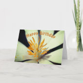 Carte Centre de fleurs de racines de sang Anniversaire (Devant)
