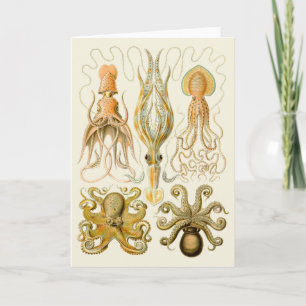 Carte Cephalopod poulpe calmar Nature marine