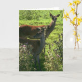 Carte Cerf | (Fleur jaune)